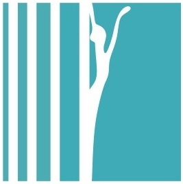 Academy of Choreography